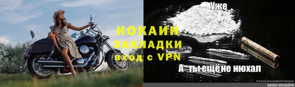 spice Алзамай