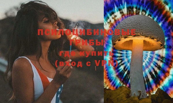 spice Алзамай
